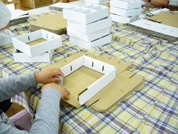 ���̑g�ݗ���