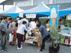 �{�݊O����